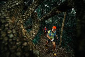 BIB: 
                            <button type="button" onclick="openModal(25697968)" class="btn btn-primary btn-sm float-right btn-popup" data-toggle="modal" data-target=".modal-high-quality">
                        <i class="fas fa-shopping-cart"></i> Add to Cart
                    </button>
                                            <button type="button" onclick="isThisMe(25697968, true)" class="btn btn-success btn-sm float-right btn-popup btn-isme hidden" data-toggle="tooltip" data-placement="bottom" title="นี่คือรูปของคุณใช่ไหม คลิกที่นี่เพื่อเอาเข้าอัลบั้ม">
                        <i class="fas fa-plus"></i> Add to album
                    </button>
                    <button type="button" onclick="isThisMe(25697968, false)" class="btn btn-warning btn-sm float-right btn-popup btn-isnotme hidden">
                        <i class="fas fa-ban"></i> Remove from album
                    </button>